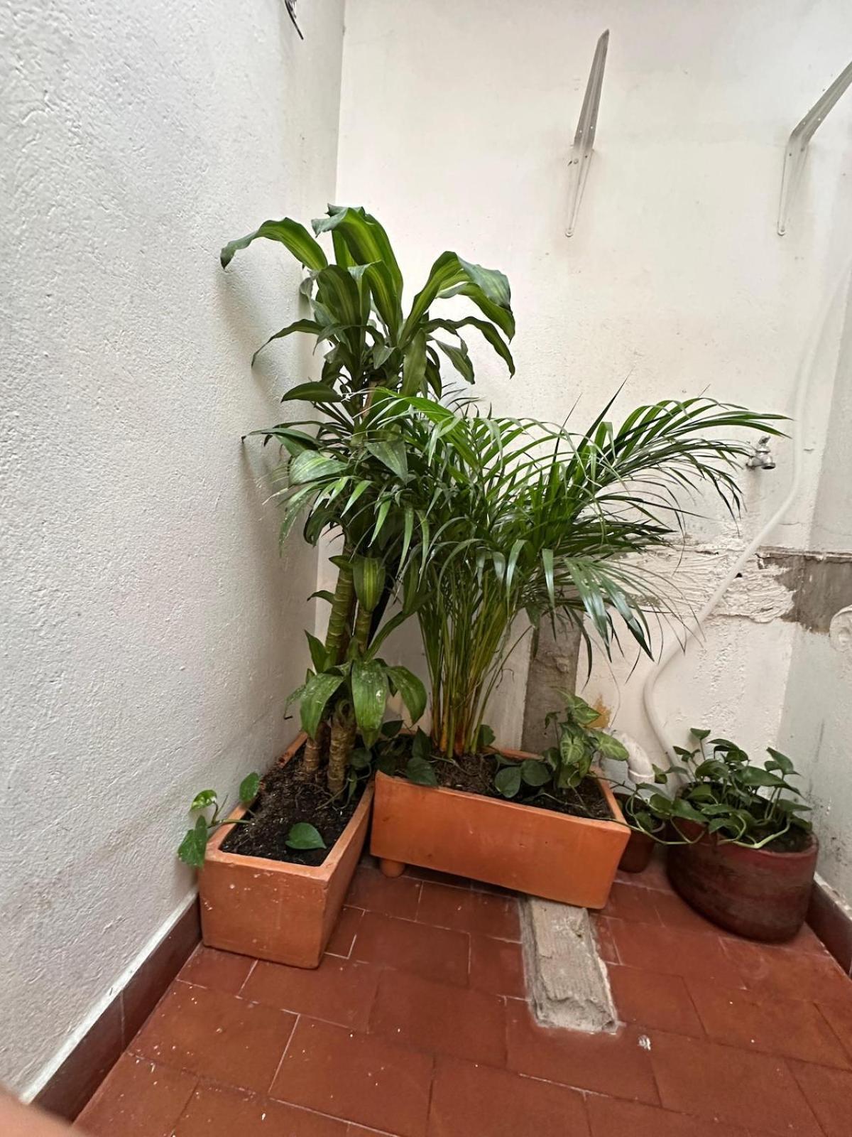Apartamento Apto Con Vista En Cultural De *